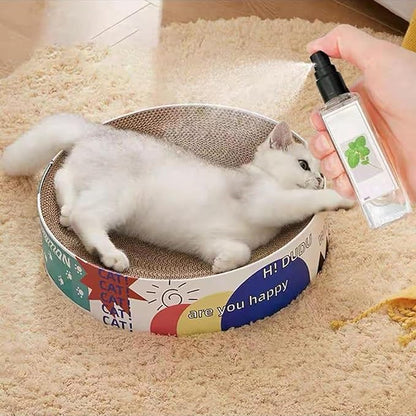 Silver Vine Spray for Cats