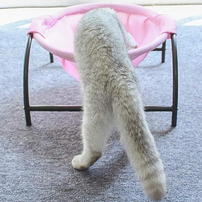 Cat Hammock – Breathable Cat Bed with Stable Metal Frame for Comfortable Resting