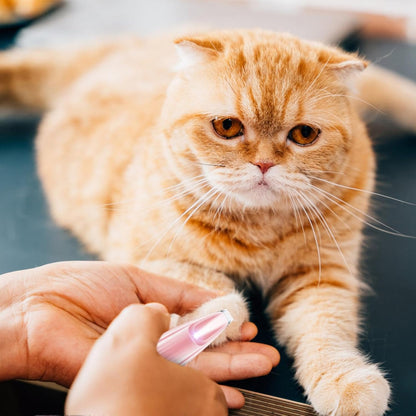 Pet Paw Trimmer