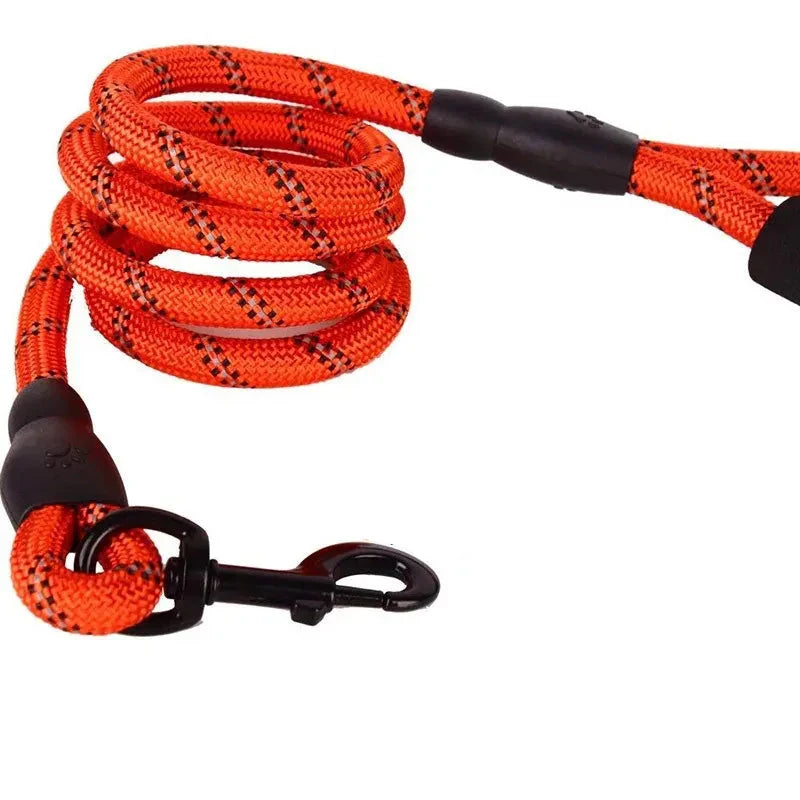Adjustable Nylon Dog Leash with Padded Handle – Durable and Non-Slip Design