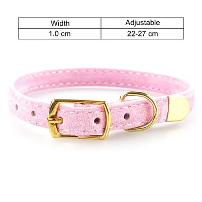Velvet Cat Collar with Gold Buckle - Adjustable and Stylish