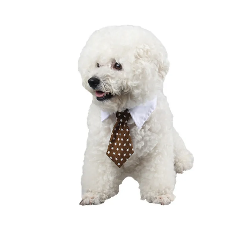 Elegant Pet Collar with Bow Tie for Dogs and Cats