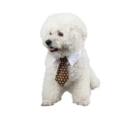 Elegant Pet Collar with Bow Tie for Dogs and Cats