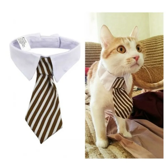 Elegant Pet Collar with Bow Tie for Dogs and Cats