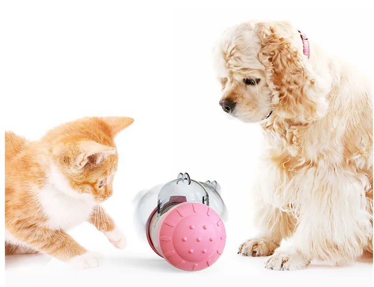 Interactive Treat Toy for Dogs and Cats - Chew Toy with Food Dispenser