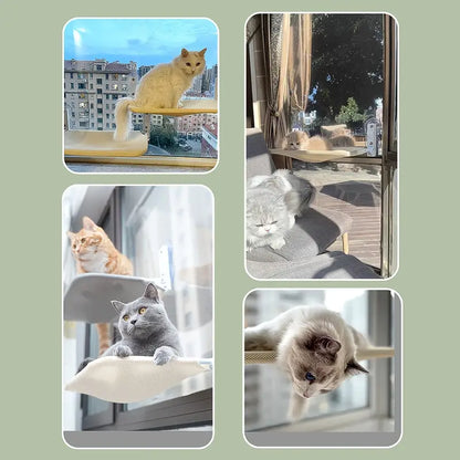 Foldable Suction Cup Hammock for Cats