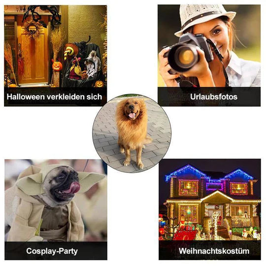 Lion Mane Dog Costume