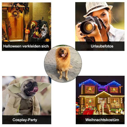 Lion Mane Dog Costume