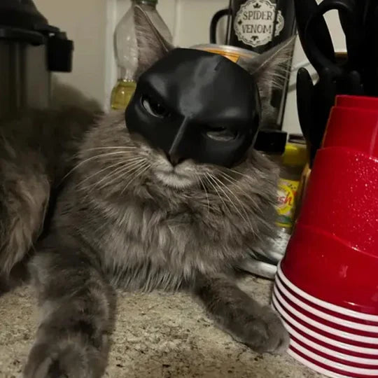Heroic Cat Mask for Unique Appearances