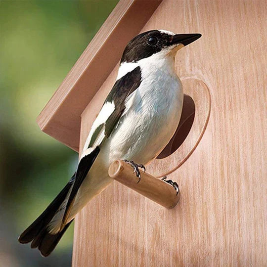 Window Bird House with Suction Cups