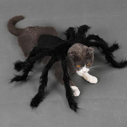 Scary Spider Costume for Pets