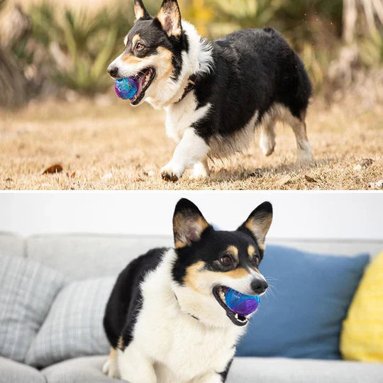 Long-Lasting Chew Ball for Dogs
