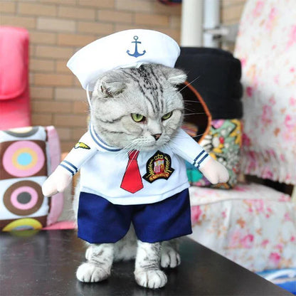 Creative Costumes for Pets