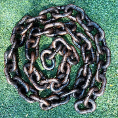 Stylish and Fun Dog Leash