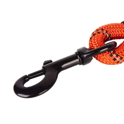 Adjustable Nylon Dog Leash with Padded Handle – Durable and Non-Slip Design