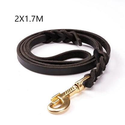 Leather Dog Lead with Gold Clip – Durable and Stylish Dog Accessory