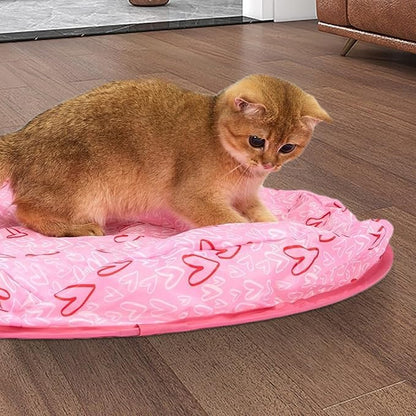 Hide and Seek Game for Cats