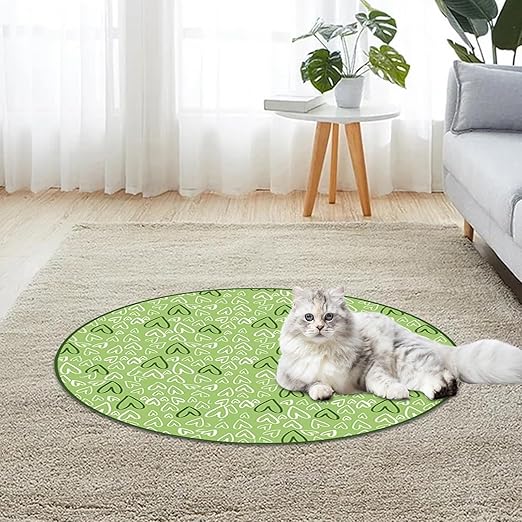 Hide and Seek Game for Cats