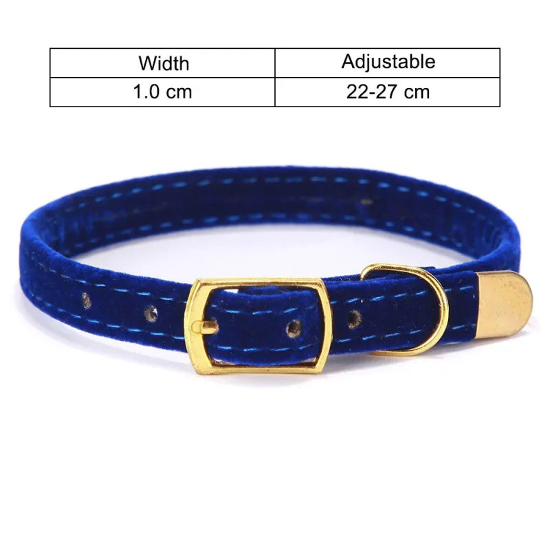 Velvet Cat Collar with Gold Buckle - Adjustable and Stylish