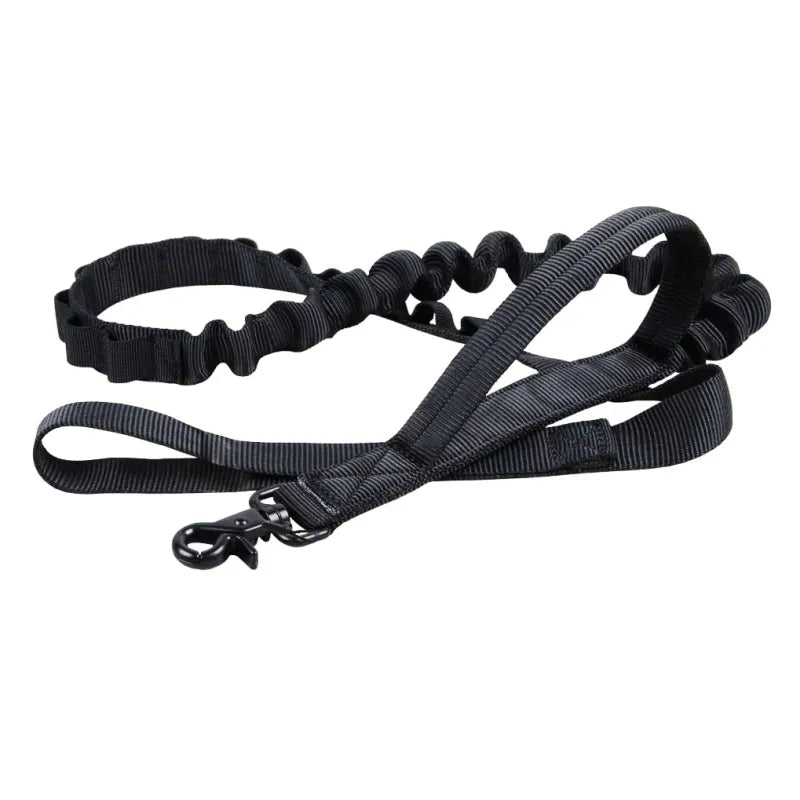 Adjustable Nylon Dog Collar with Strong Click Closure