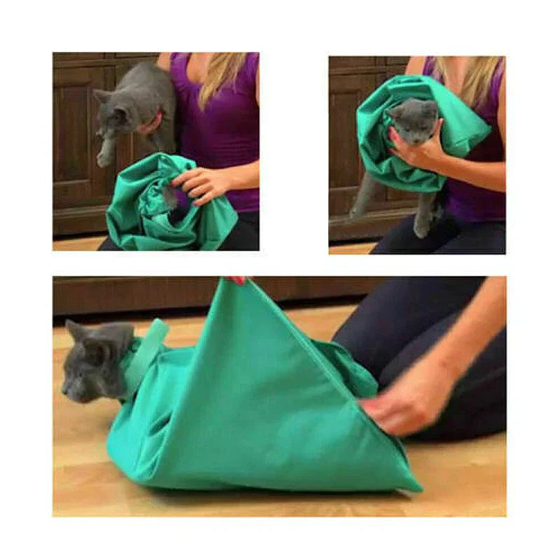 Cat Travel Bag with Comfort (2-in-1)