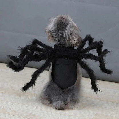Scary Spider Costume for Pets