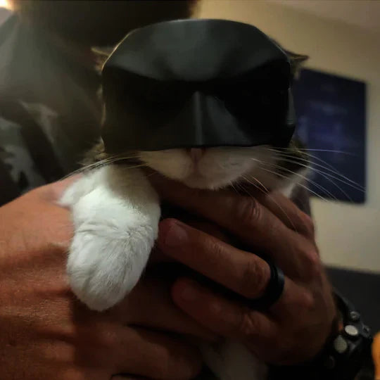 Heroic Cat Mask for Unique Appearances