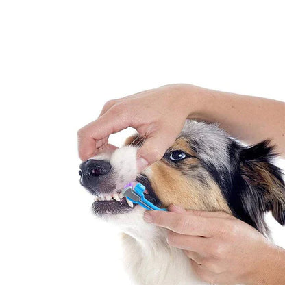 3-Head Dog Toothbrush - Effective Cleaning for Healthy Teeth
