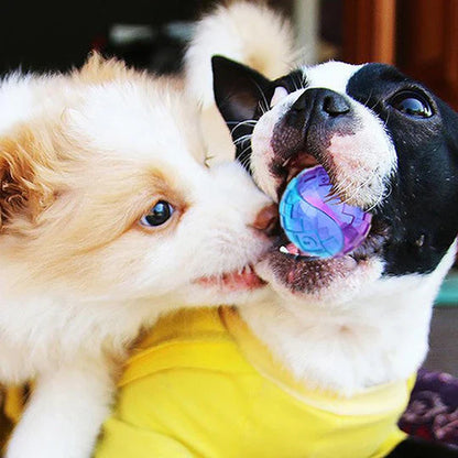 Long-Lasting Chew Ball for Dogs