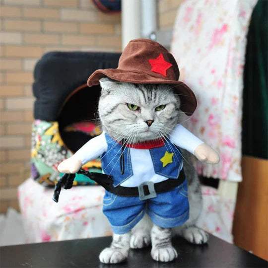 Creative Costumes for Pets