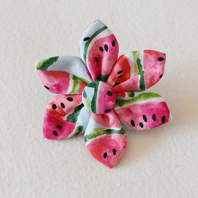 Dog Collar with Bow and Watermelon-Shaped Leash - Adjustable and Comfortable