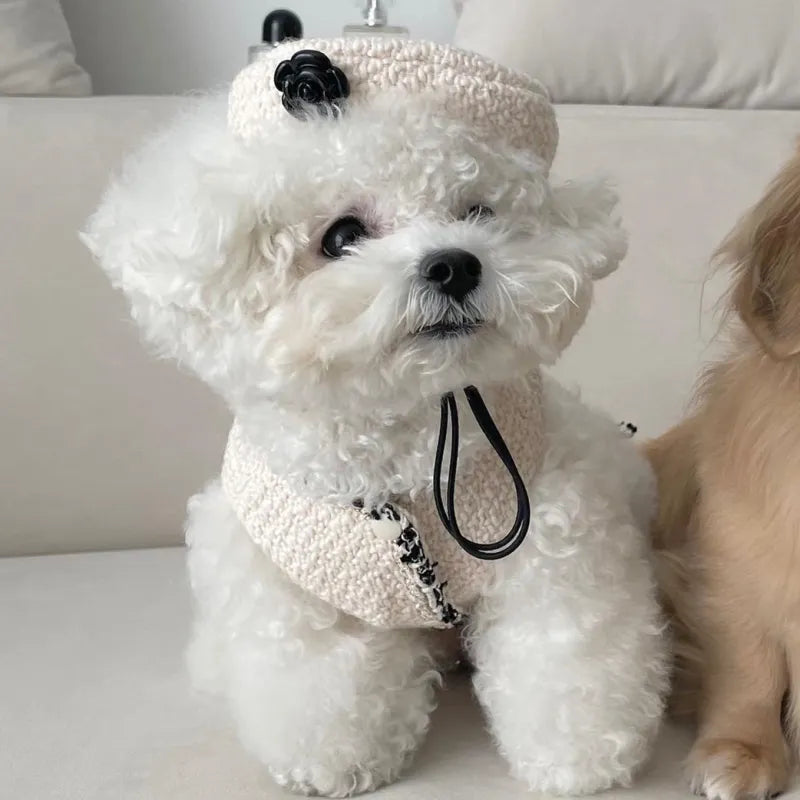 Elegant Dog Collar with a Chic Little Hat and Flower Application - Trendy Design for Your Four-Legged Companion