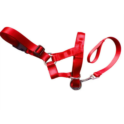 Adjustable Harness with Leash for Small and Medium-Sized Dogs