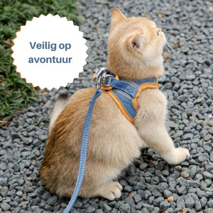 Cute Cat Harness