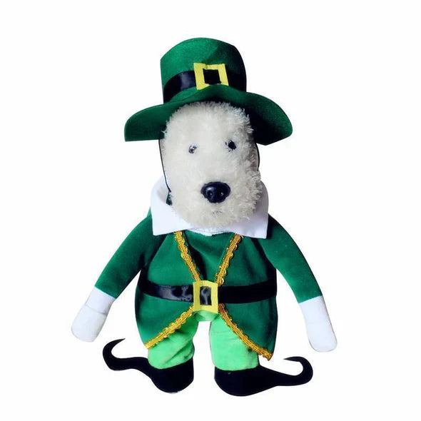 Creative Costumes for Pets
