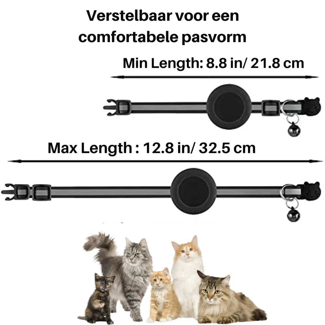 Cat Collar with Safety Clip