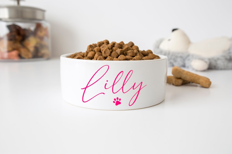 Custom Bowl for Your Favourite Pet