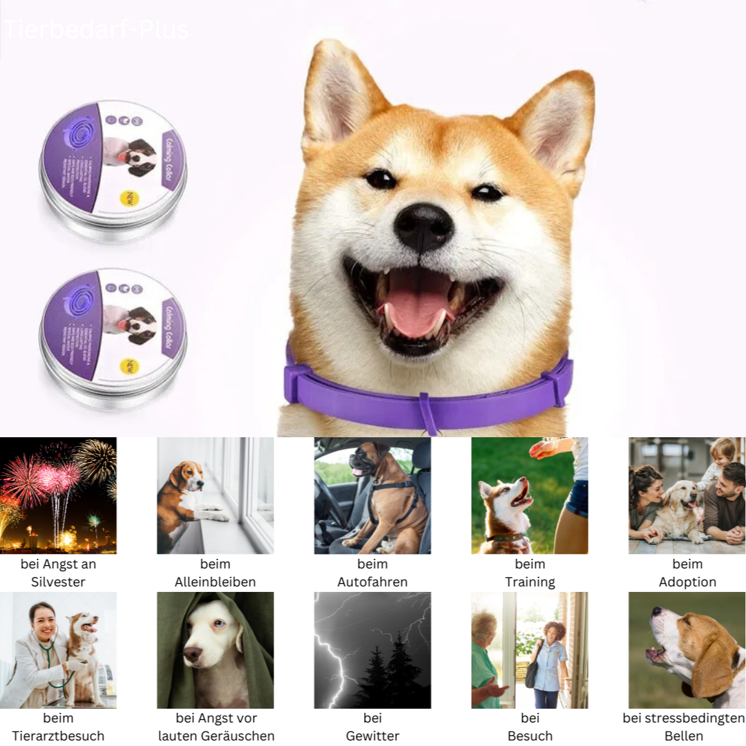 Calming Pheromone Collar