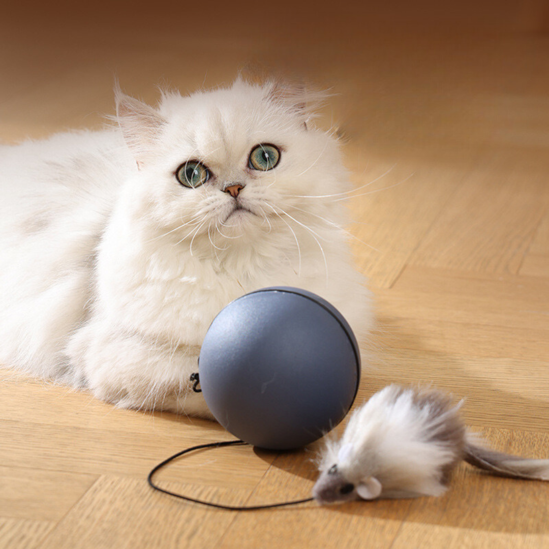 TurboBall Toy with Tail for Cats