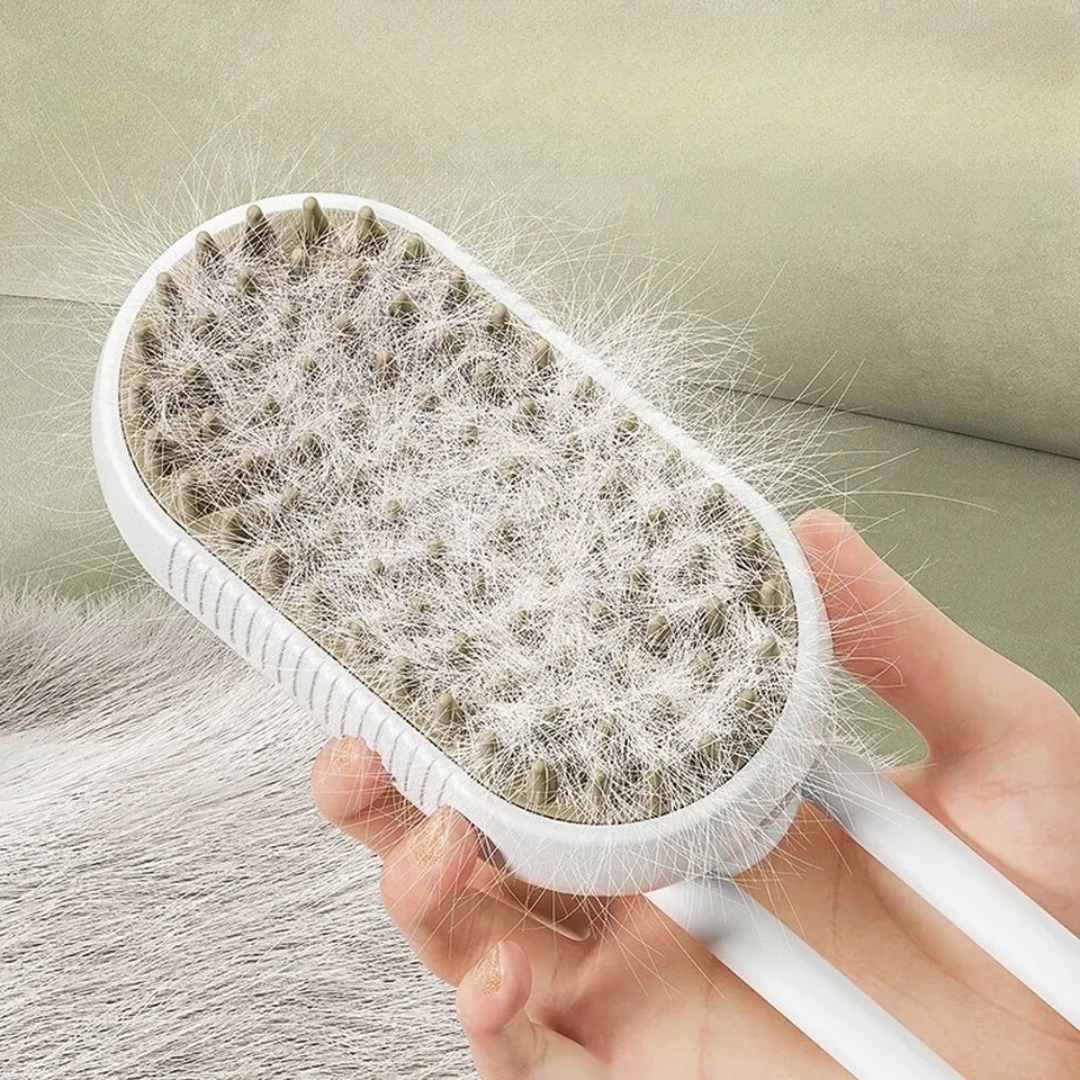 Steam Brush 2.0