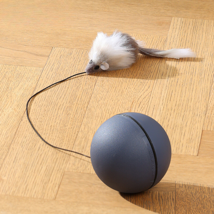 TurboBall Toy with Tail for Cats