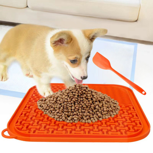 Dog Play Mat