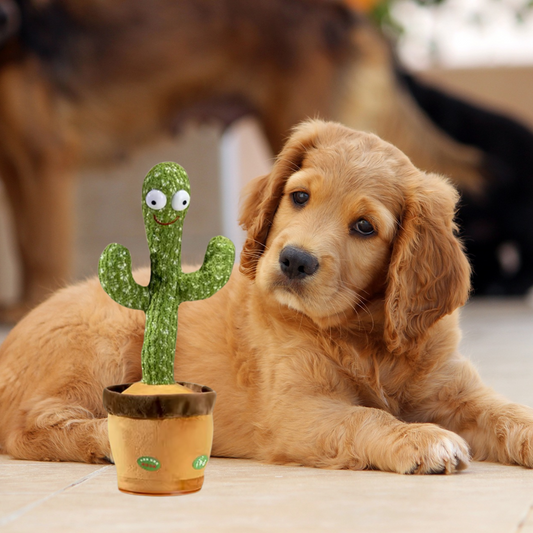 Talking Cactus for Dogs