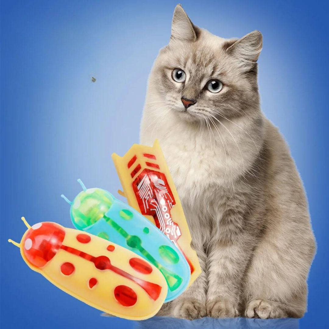 Cockroach Toy for Cats