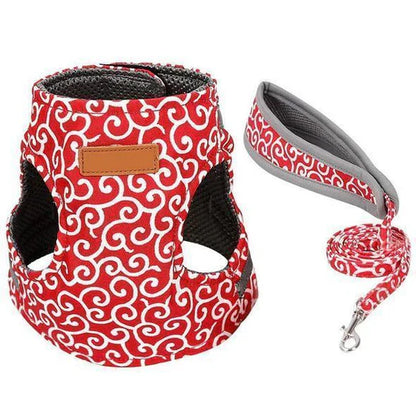 Breathable Harness for Cats with Leash for Outdoor Walks