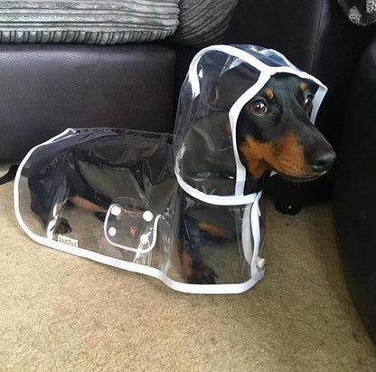 Transparent Waterproof Dog Raincoat