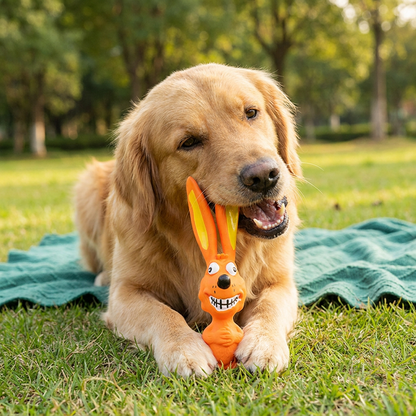 Durable Natural Latex Teeth Cleaning Dog Chew Toy