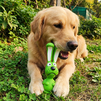 Durable Natural Latex Teeth Cleaning Dog Chew Toy