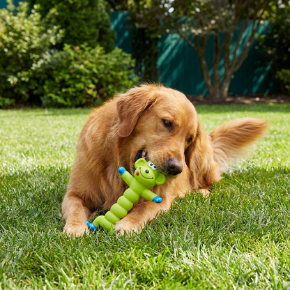 Durable Natural Latex Teeth Cleaning Dog Chew Toy