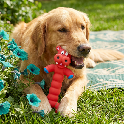 Durable Natural Latex Teeth Cleaning Dog Chew Toy
